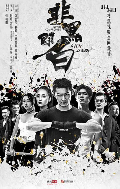 【国产剧】非黑即白