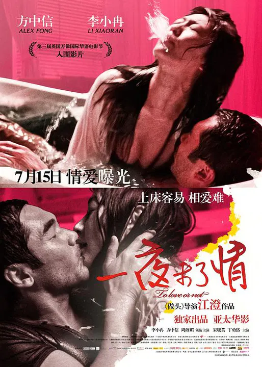 【爱情片】一夜未了情